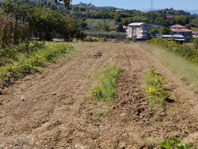 immagine annuncio 4 di 9