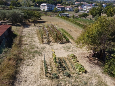 immagine annuncio 6 di 9