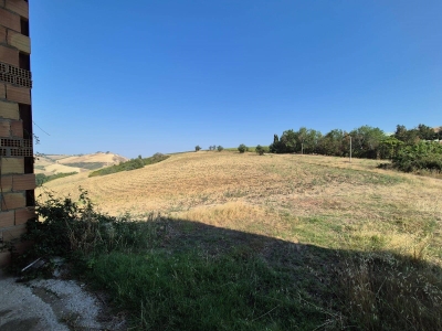 immagine annuncio 6 di 9