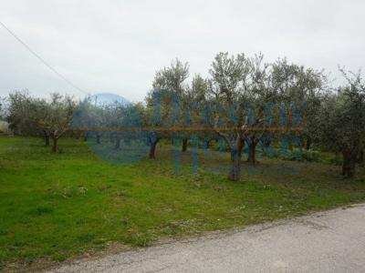 immagine annuncio 4 di 6