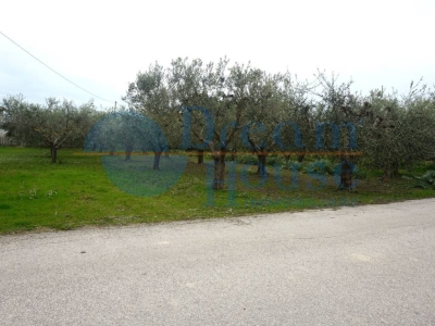 immagine annuncio 5 di 6