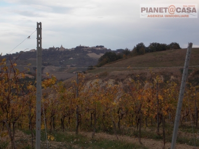 immagine annuncio 3 di 9