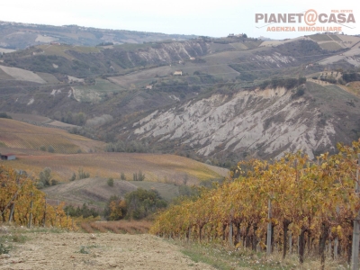 immagine annuncio 5 di 9