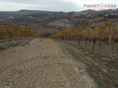 immagine annuncio 4 di 9