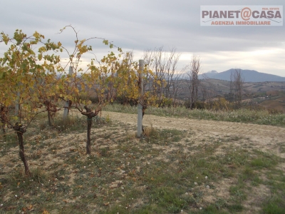 immagine annuncio 6 di 9