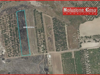 immagine annuncio 2 di 3