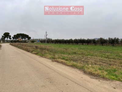 immagine annuncio 1 di 6