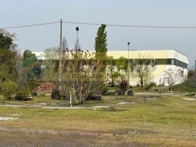 immagine annuncio 3 di 8