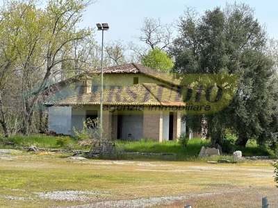 immagine annuncio 7 di 8