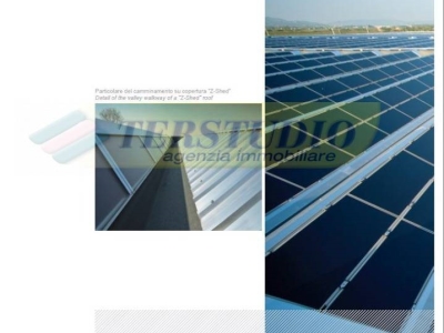 immagine annuncio 3 di 9