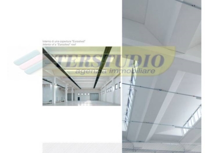 immagine annuncio 4 di 9