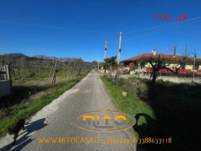 immagine annuncio 3 di 9