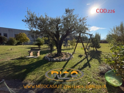 immagine annuncio 1 di 9