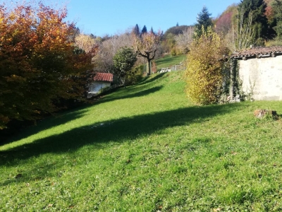 immagine annuncio 2 di 8