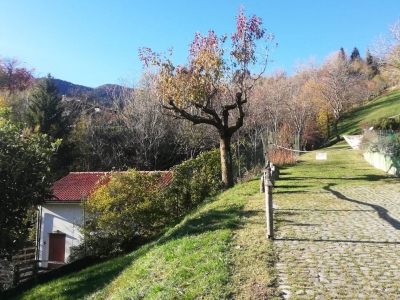 immagine annuncio 6 di 8