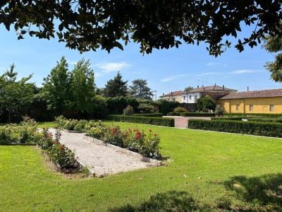immagine annuncio 5 di 9