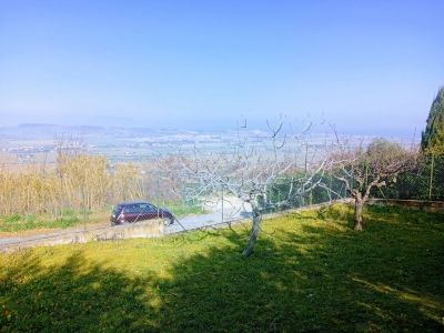 immagine annuncio 2 di 4