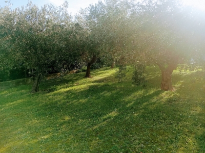immagine annuncio 3 di 4