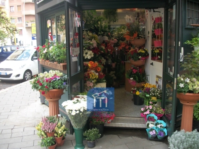 immagine annuncio 2 di 9