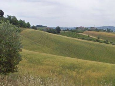 immagine annuncio 5 di 9