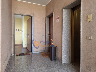 immagine annuncio 5 di 9