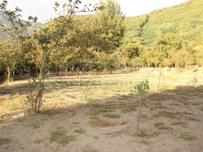 immagine annuncio 5 di 9