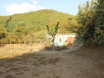 immagine annuncio 7 di 9