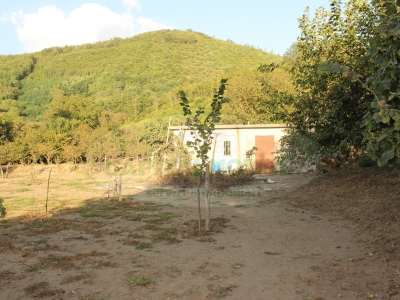 immagine annuncio 8 di 9