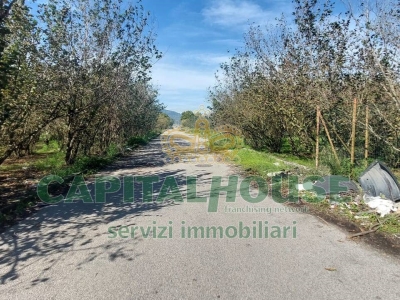 immagine annuncio 2 di 7