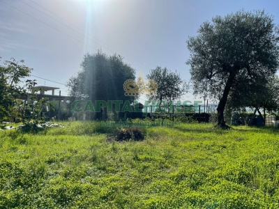 immagine annuncio 3 di 8