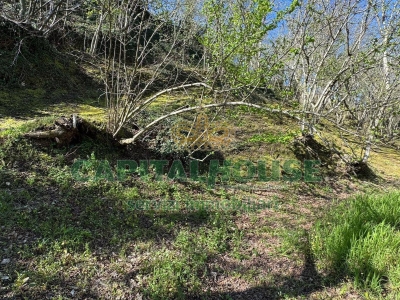 immagine annuncio 4 di 9