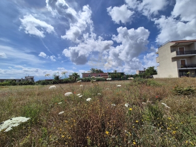 immagine annuncio 6 di 9
