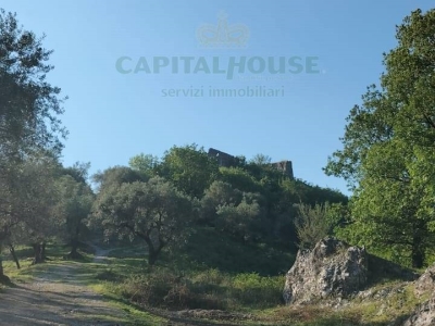 immagine annuncio 4 di 9