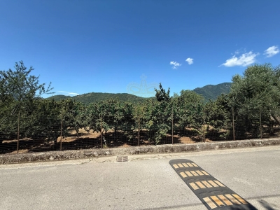 immagine annuncio 8 di 9