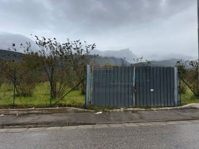 immagine annuncio 6 di 9