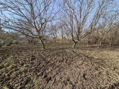 immagine annuncio 8 di 9