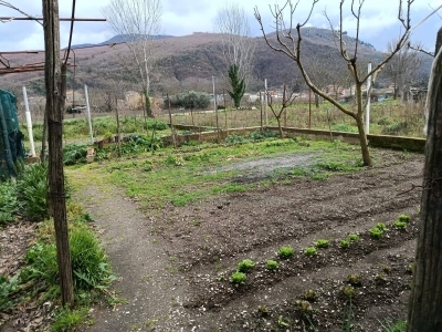 immagine annuncio 2 di 9