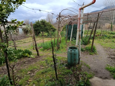 immagine annuncio 3 di 9