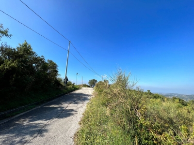immagine annuncio 4 di 9