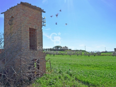 immagine annuncio 7 di 9
