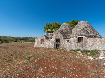 immagine annuncio 7 di 9