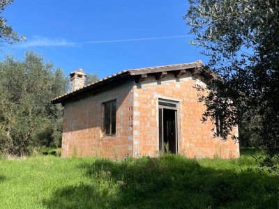 immagine annuncio 4 di 9