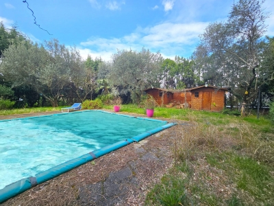 immagine annuncio 1 di 9