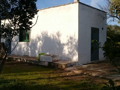 immagine annuncio 6 di 9