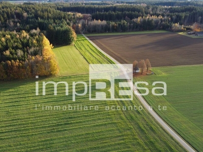 immagine annuncio 4 di 9