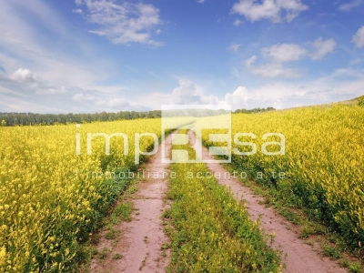 immagine annuncio 6 di 9