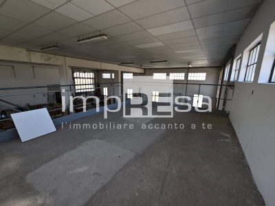 immagine annuncio 4 di 9