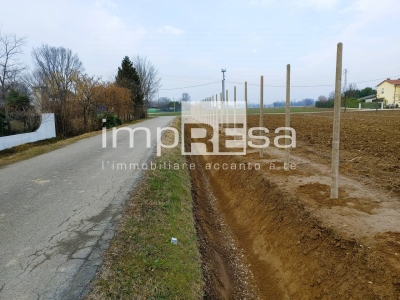 immagine annuncio 4 di 9