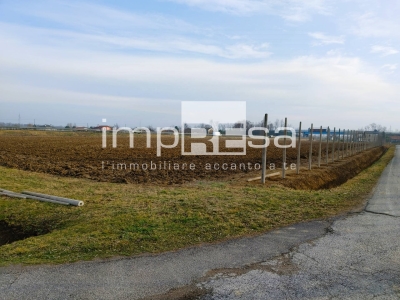 immagine annuncio 3 di 9