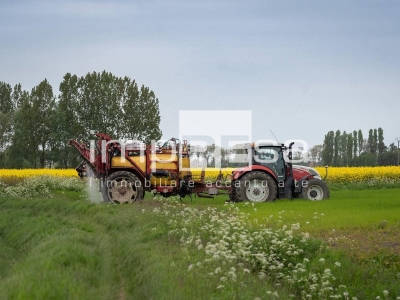 immagine annuncio 3 di 9